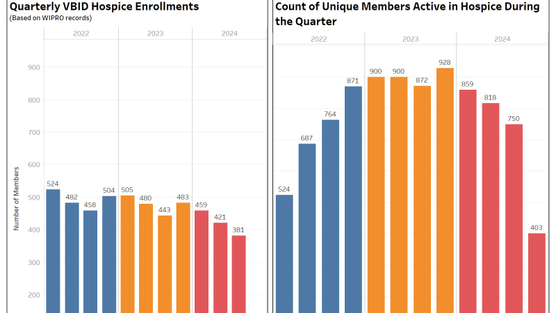 thumbnail: VBID Hospice Revenue Insights 11/24