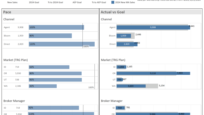 thumbnail: 2024 Sales Overview